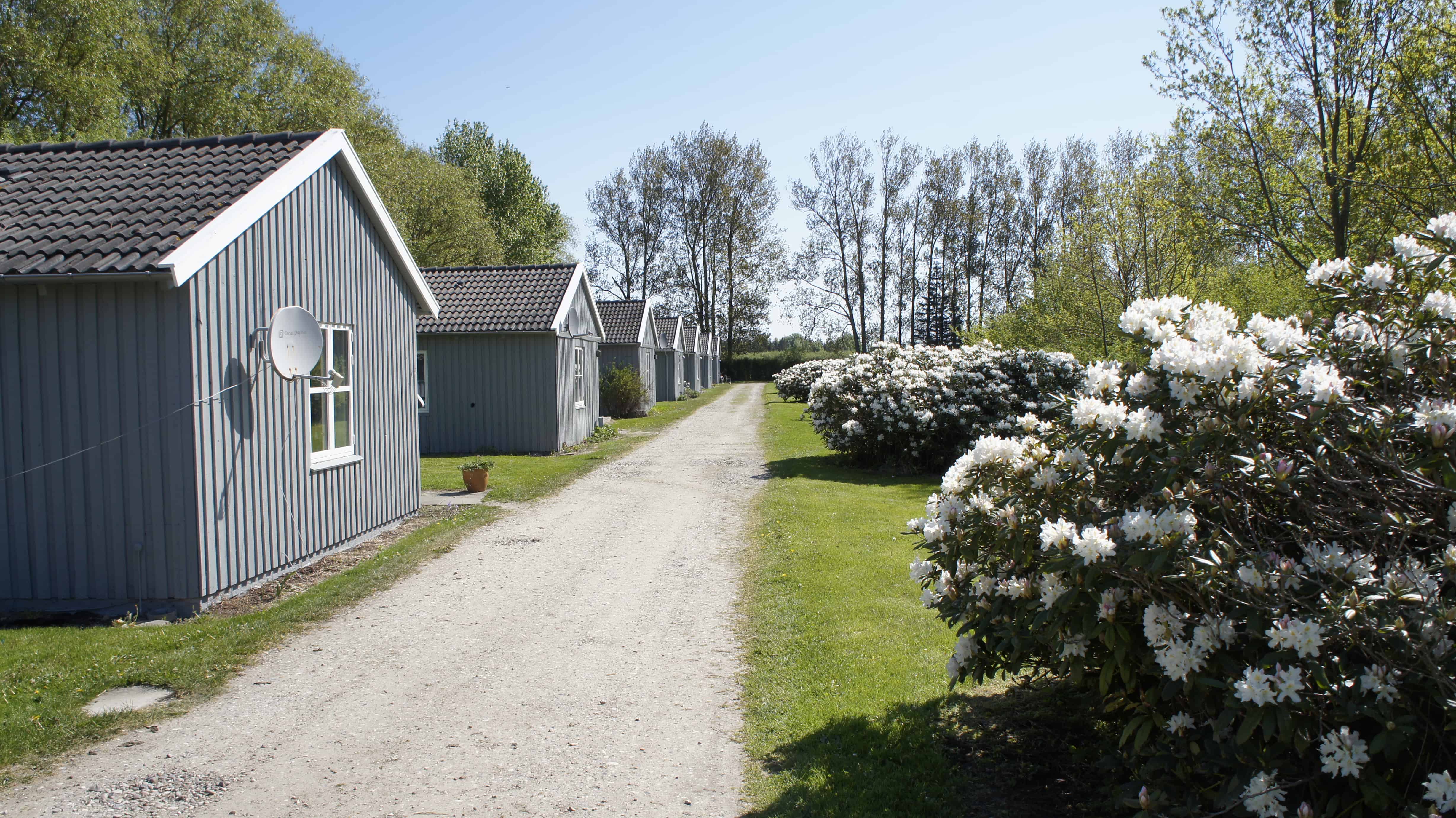 6 mindre huse, hvor du kan træne at bo selv 6 mindre huse, hvor du kan træne at bo selv
